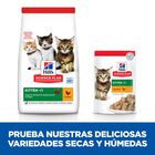 Hill's Science Plan Kitten Pollo pienso, , large image number null